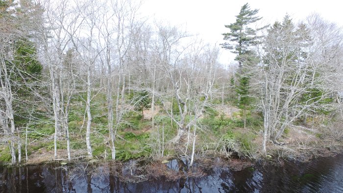 WentworthHalbinsel (78)